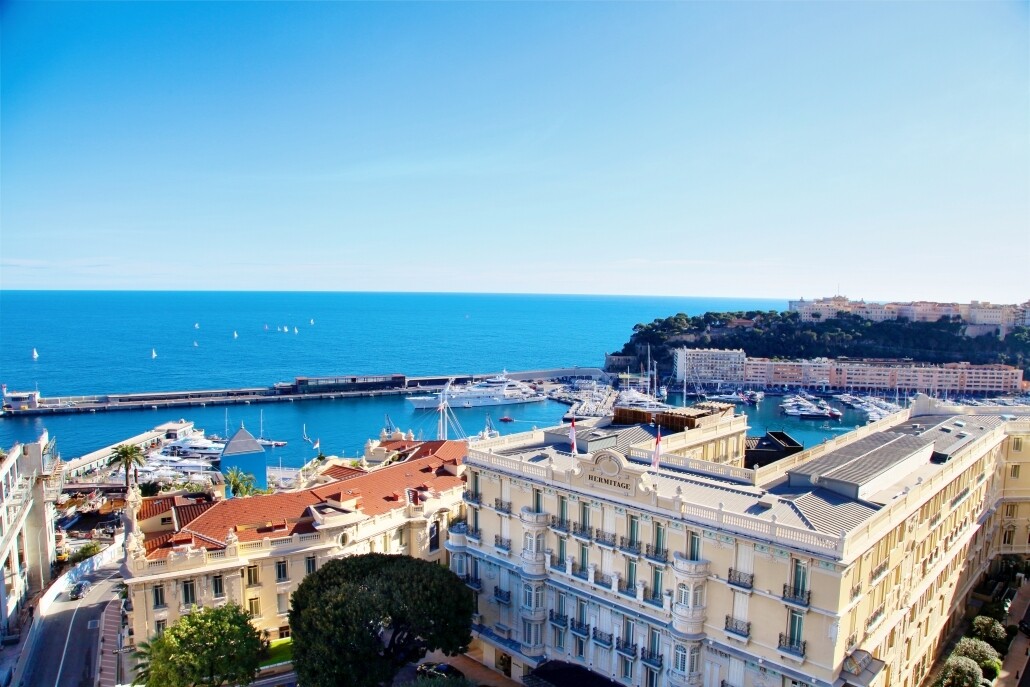 MURS ET FONDS DE COMMERCE CARRE D'OR - Appartements à vendre à Monaco
