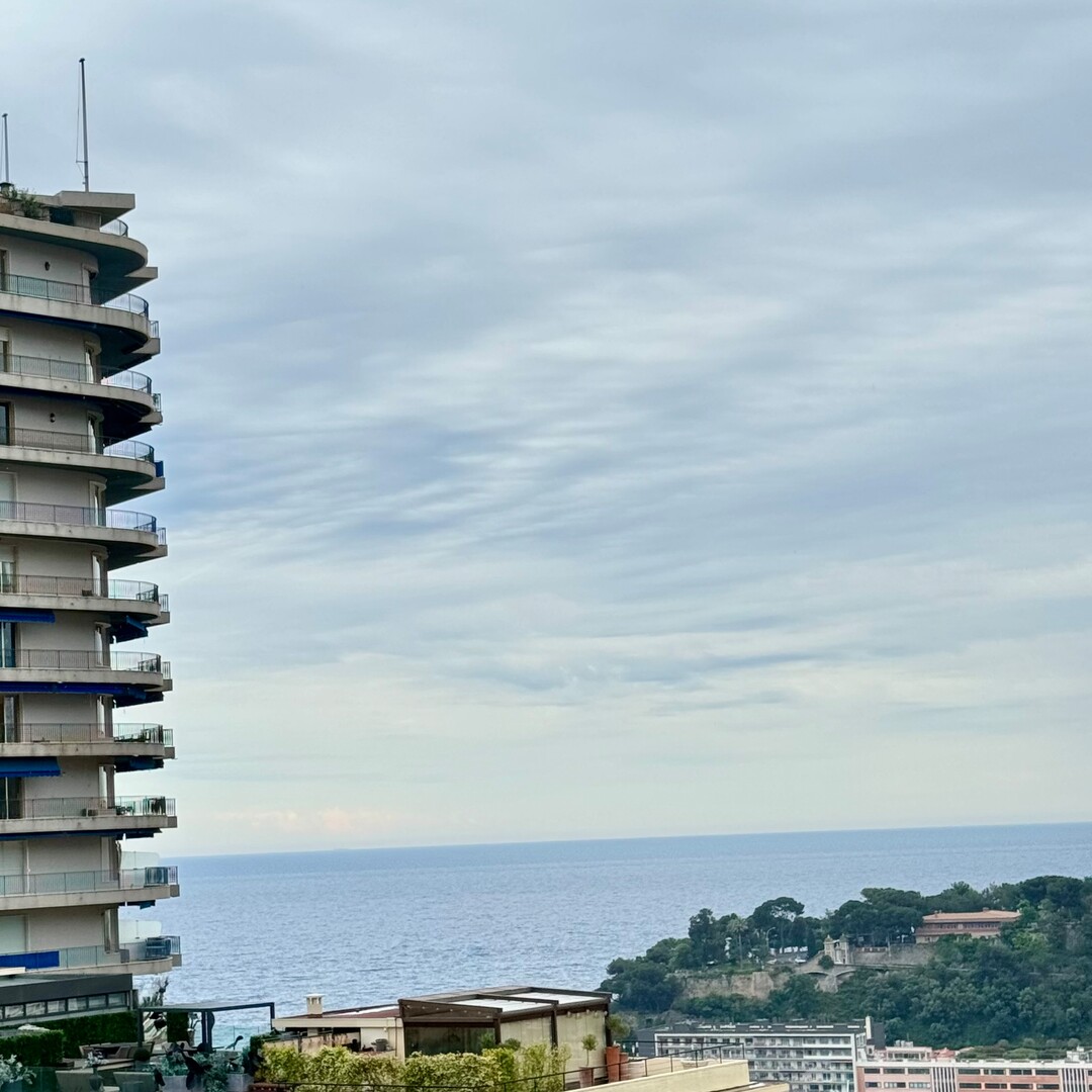MAGNIFIQUE 3 PIECES REFAIT A NEUF - Appartements à vendre à Monaco
