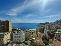 Les Dauphins - Boulevard du Ténao - Appartements à vendre à Monaco
