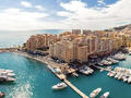 PENTHOUSE ENTIEREMENT RENOVE AVEC PISCINE - Appartements à vendre à Monaco