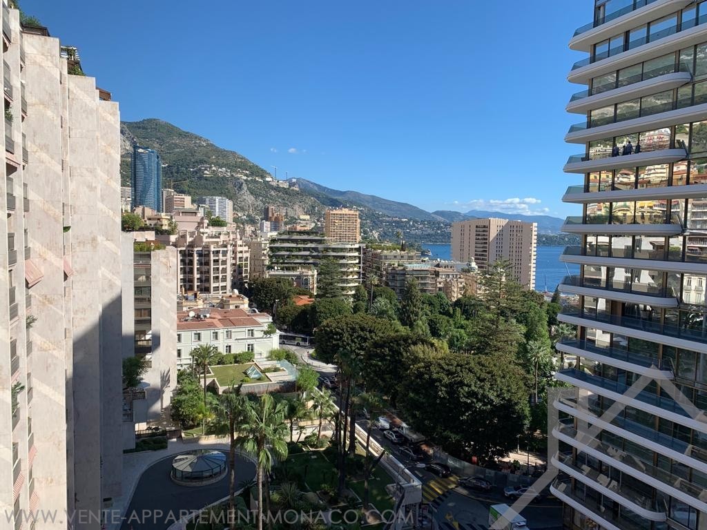 Park Palace 3 room apartment for sale Propriétés à vendre à Monaco