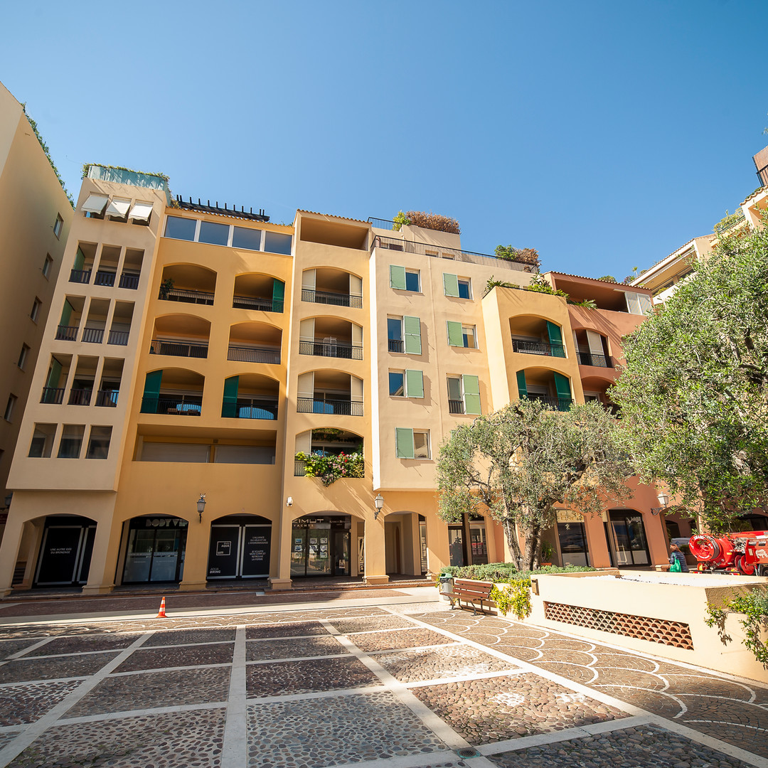 2P FONTVIELLE - USAGE MIXTE - Appartements à vendre à Monaco