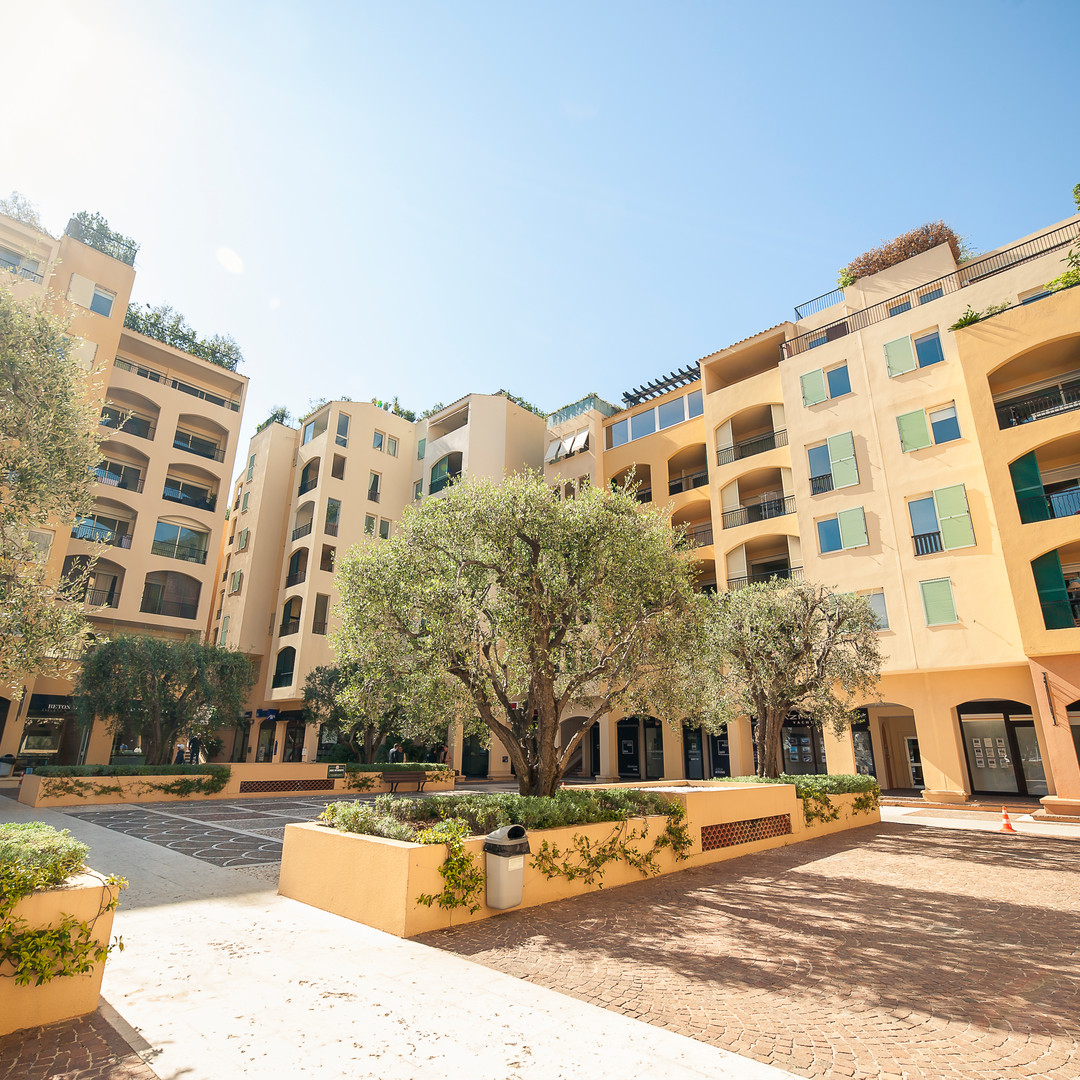 2P FONTVIELLE - USAGE MIXTE - Appartements à vendre à Monaco