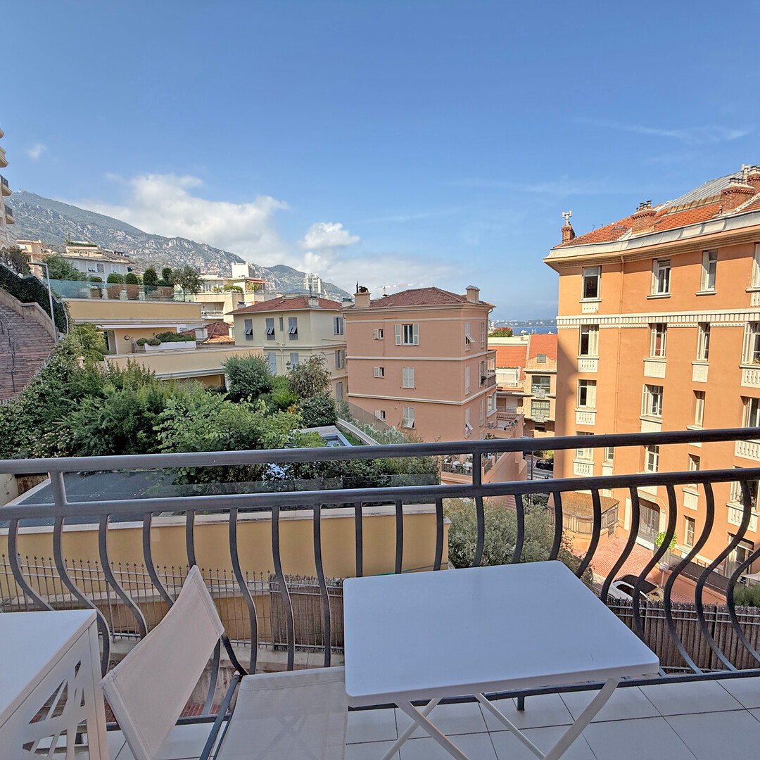 Spacieux 3 pièces libre de toute loi - Appartements à vendre à Monaco