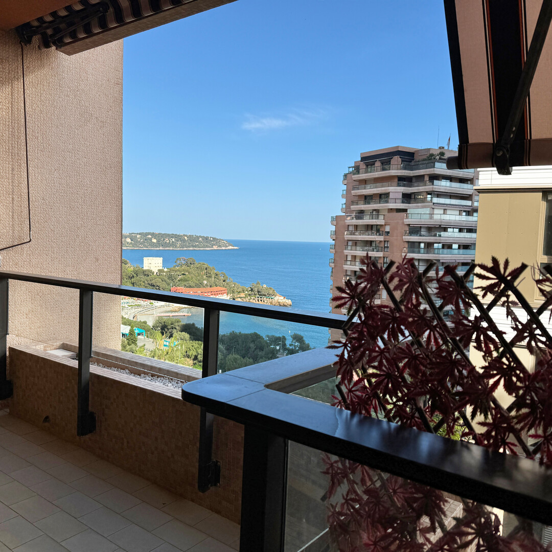 Studio à la vente aux Terrasses du Parc Saint Roman - Appartements à vendre à Monaco