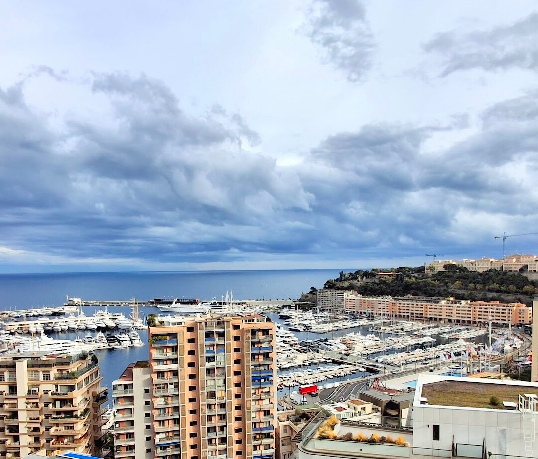 Le Soleil d'Or - Boulevard Rainier III - Appartements à vendre à Monaco