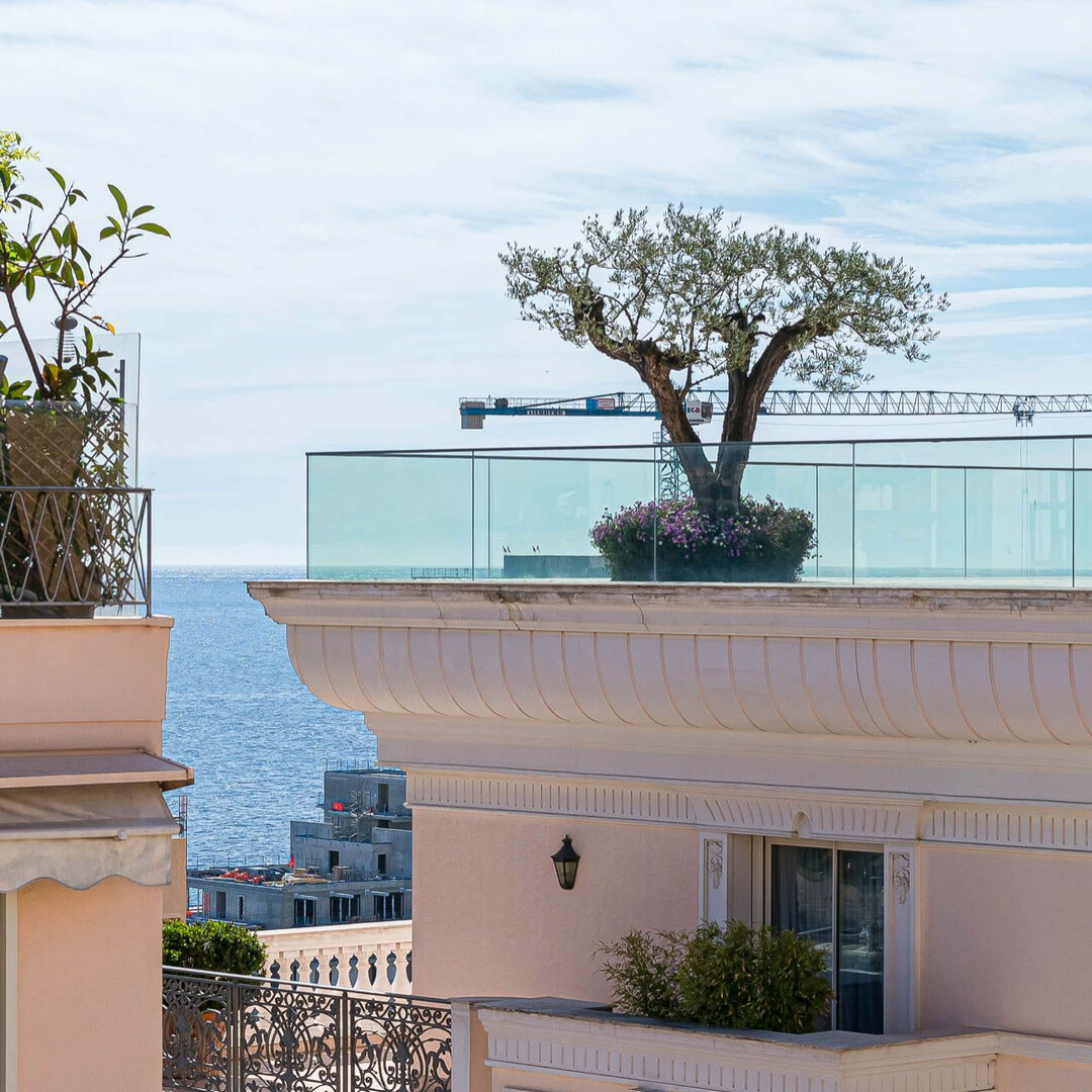 MONTE CARLO HOUSE  - Appartements à vendre à Monaco