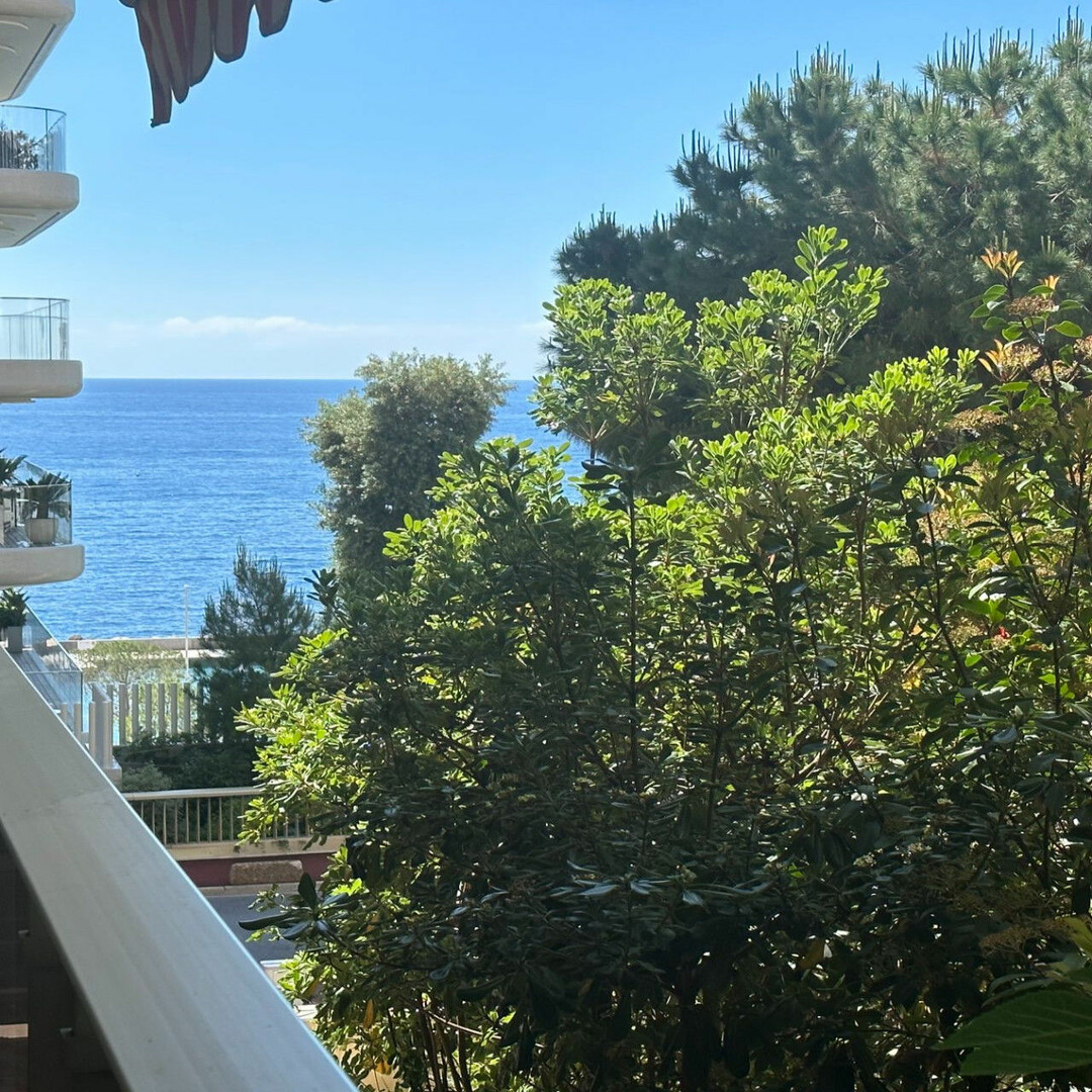 VALLESPIR - Appartements à vendre à Monaco
