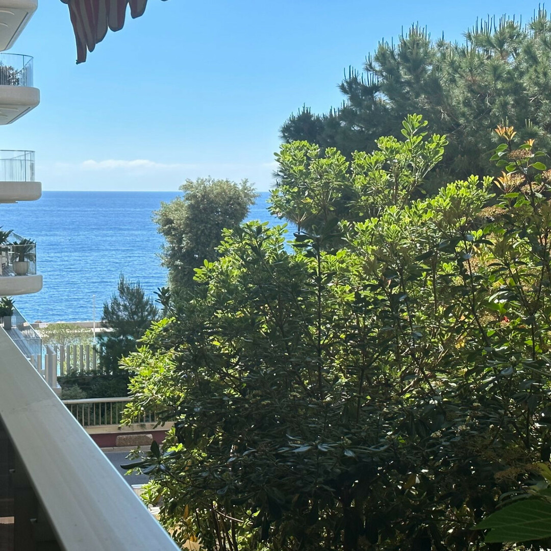 Vallespir - Appartements à vendre à Monaco