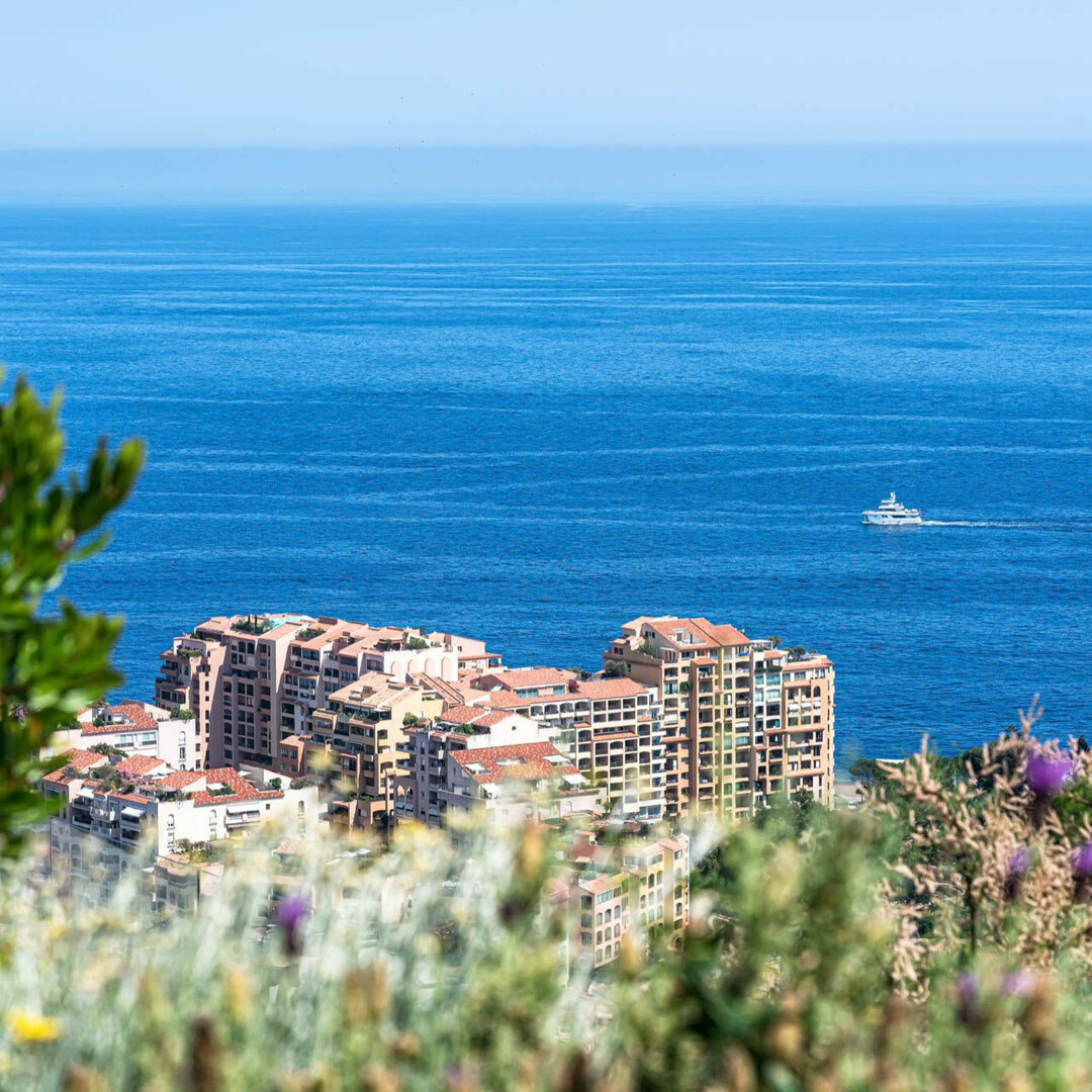 L'EXOTIQUE  - Appartements à vendre à Monaco