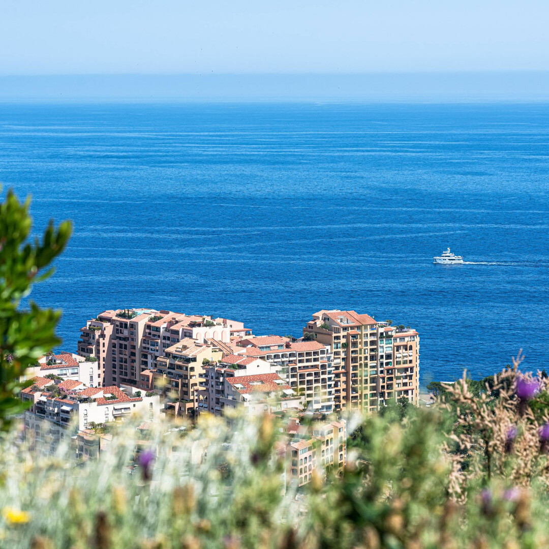 L''EXOTIQUE  - Appartements à vendre à Monaco