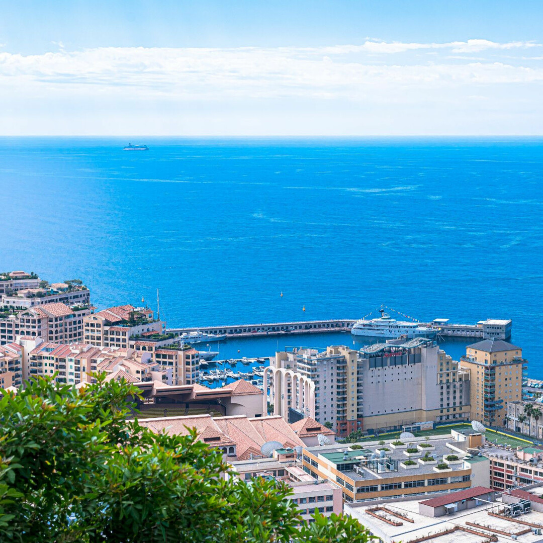 L''EXOTIQUE  - Appartements à vendre à Monaco