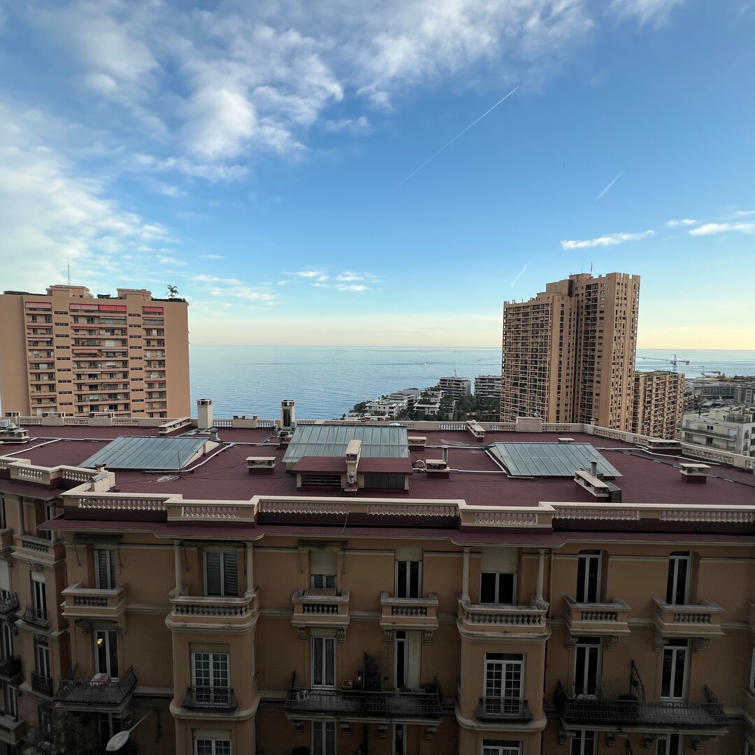 LE CONTINENTAL - 2 PIECES - Appartements à vendre à Monaco