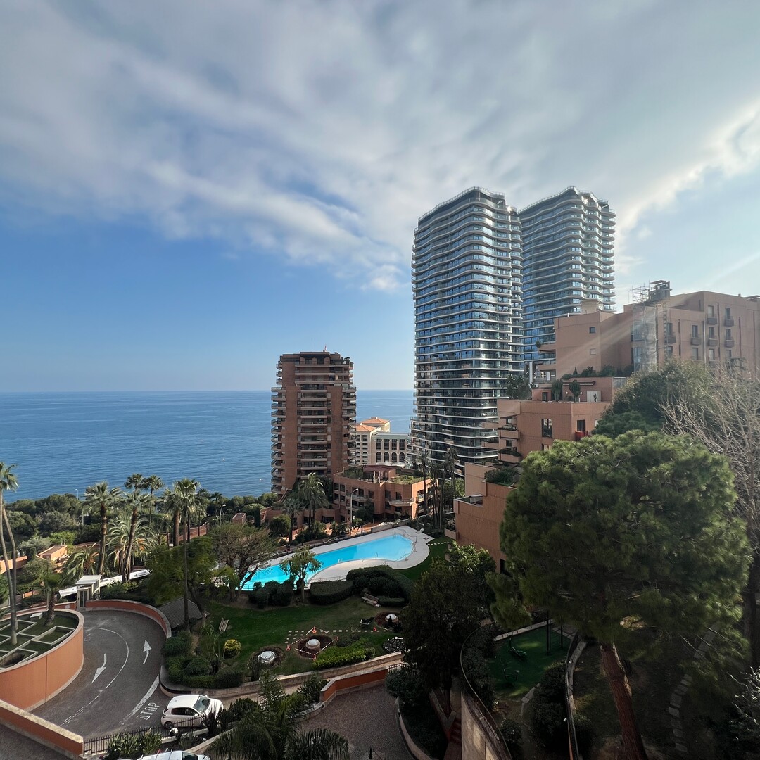 PARC SAINT-ROMAN (TOUR) - 2 PIECES (USAGE MIXTE) - Appartements à vendre à Monaco