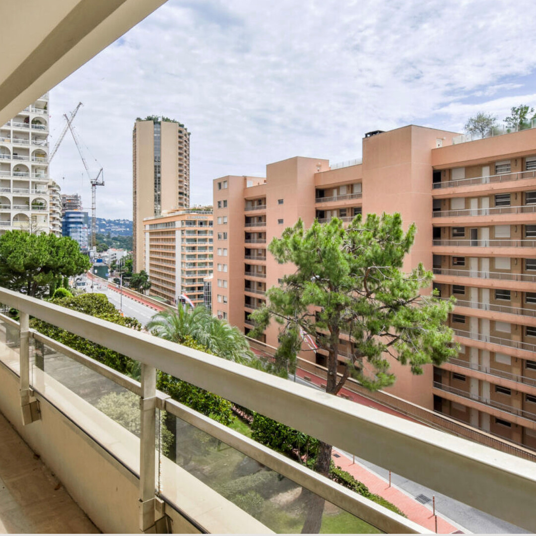 LAROUSSE / CHATEAU AMIRAL / 2 PIECES - Appartements à vendre à Monaco