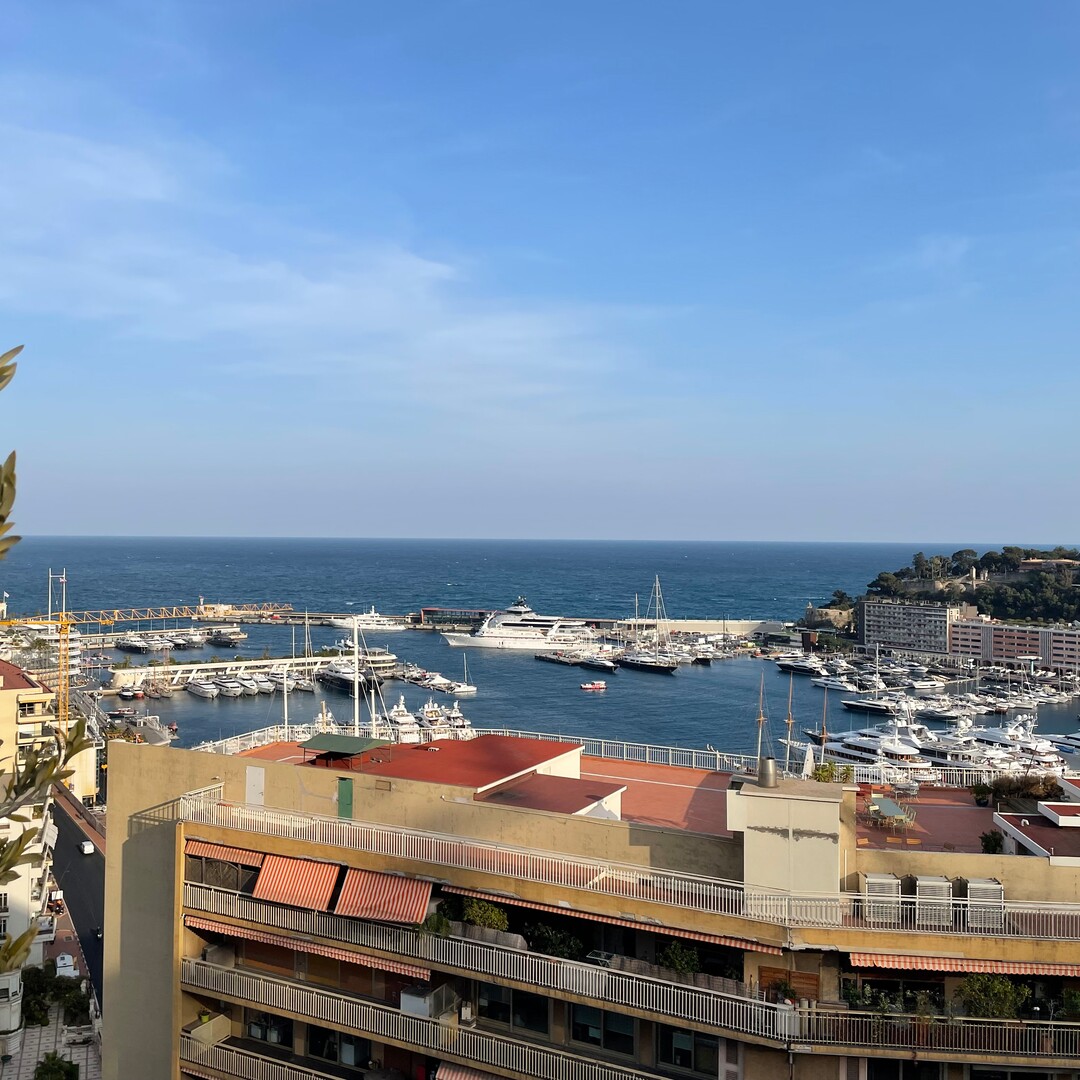 HAUT CONDAMINE/ HARBOR CREST / TRIPLEX - Appartements à vendre à Monaco