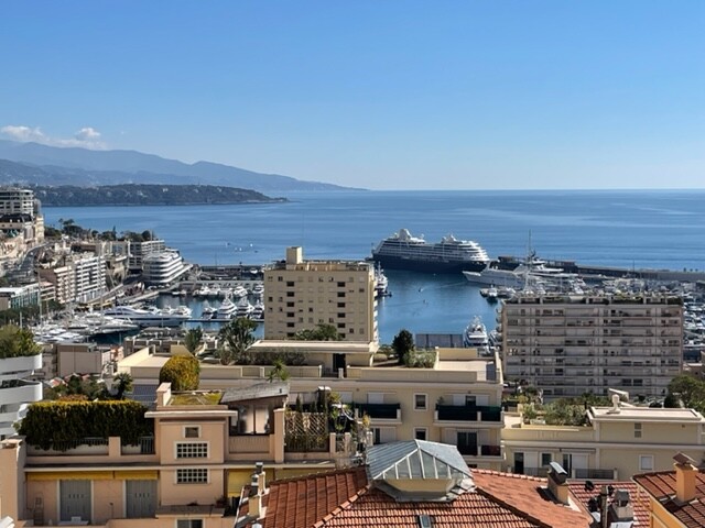 EDEN TOWER /  GRAND 3 PIECES TRANSFORMABLE EN 4 PIECES / VUE SUR PORT - Appartements à vendre à Monaco