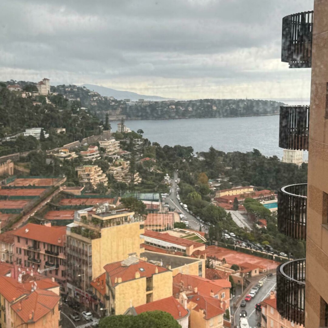 PARC SAINT ROMAN / GRAND STUDIO / CAVE ET PARKING - Appartements à vendre à Monaco