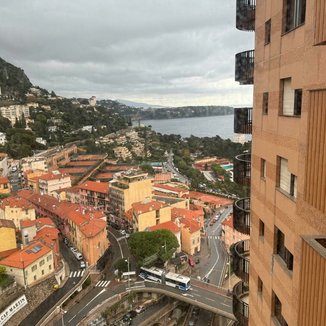 PARC SAINT ROMAN / GRAND STUDIO  avec ESPACE NUIT /  CAVE ET PARKING - Appartements à vendre à Monaco