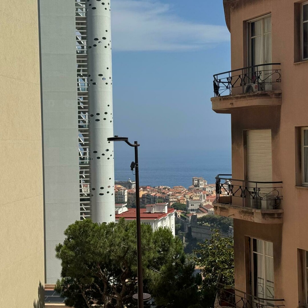 JARDIN EXOTIQUE / 4 PIECES / RENOVE - Appartements à vendre à Monaco
