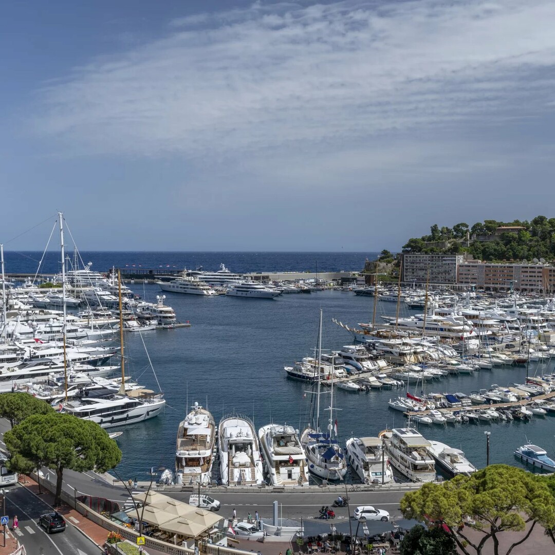 Condamine - Le Panorama - Appartement unique - Appartements à vendre à Monaco