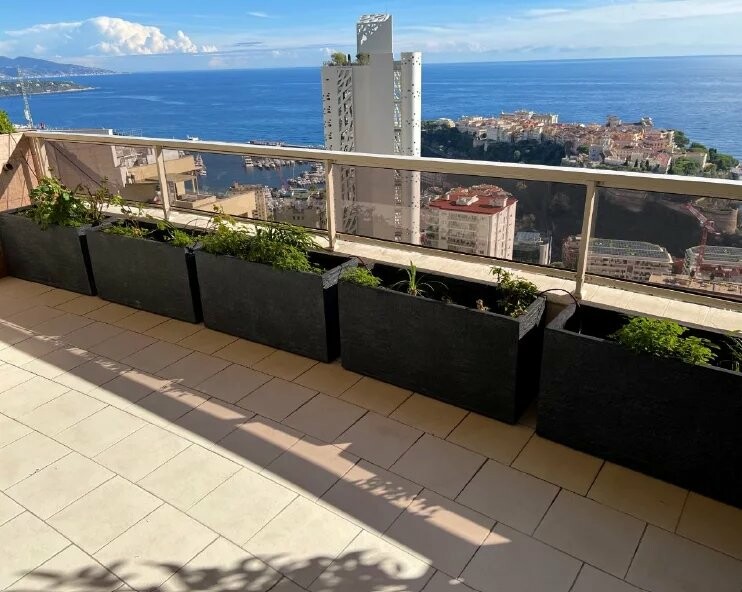 Jardin Exotique - Le Patio Palace - 5 pièces - Appartements à vendre à Monaco