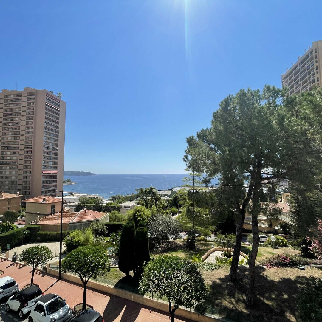 STUDIO AVEC LOGGIA - LE TROCADÉRO - Appartements à vendre à Monaco