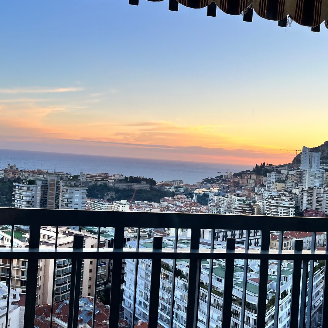 Millefiori - 3 pièces rénové avec vue mer - Appartements à vendre à Monaco