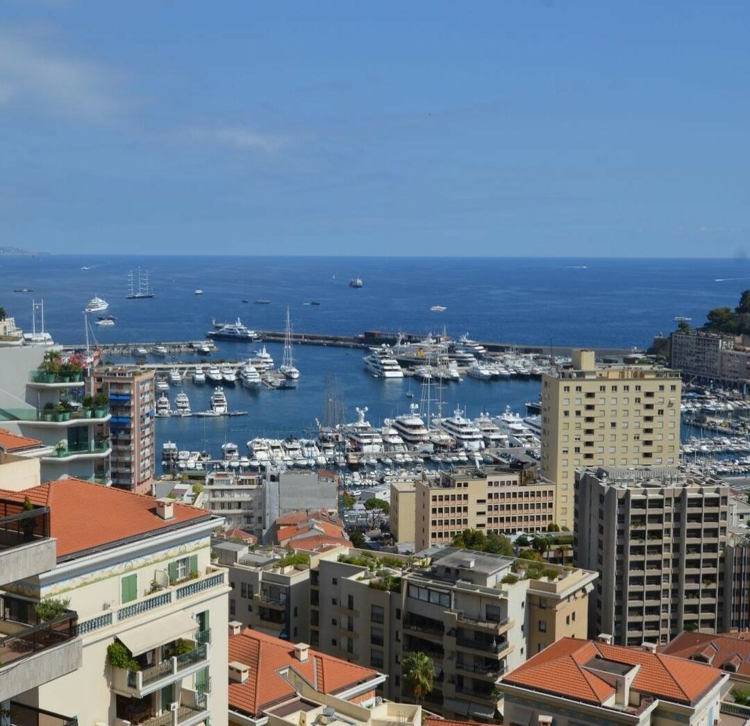 JARDIN EXOTIQUE | BEVERLY PALACE | 3 PIECES - Propriétés à vendre à Monaco