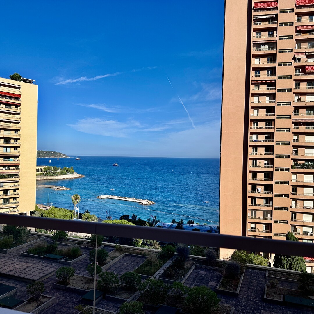 LAROUSSE | SANTA MONICA | 2 PIECES - Appartements à vendre à Monaco