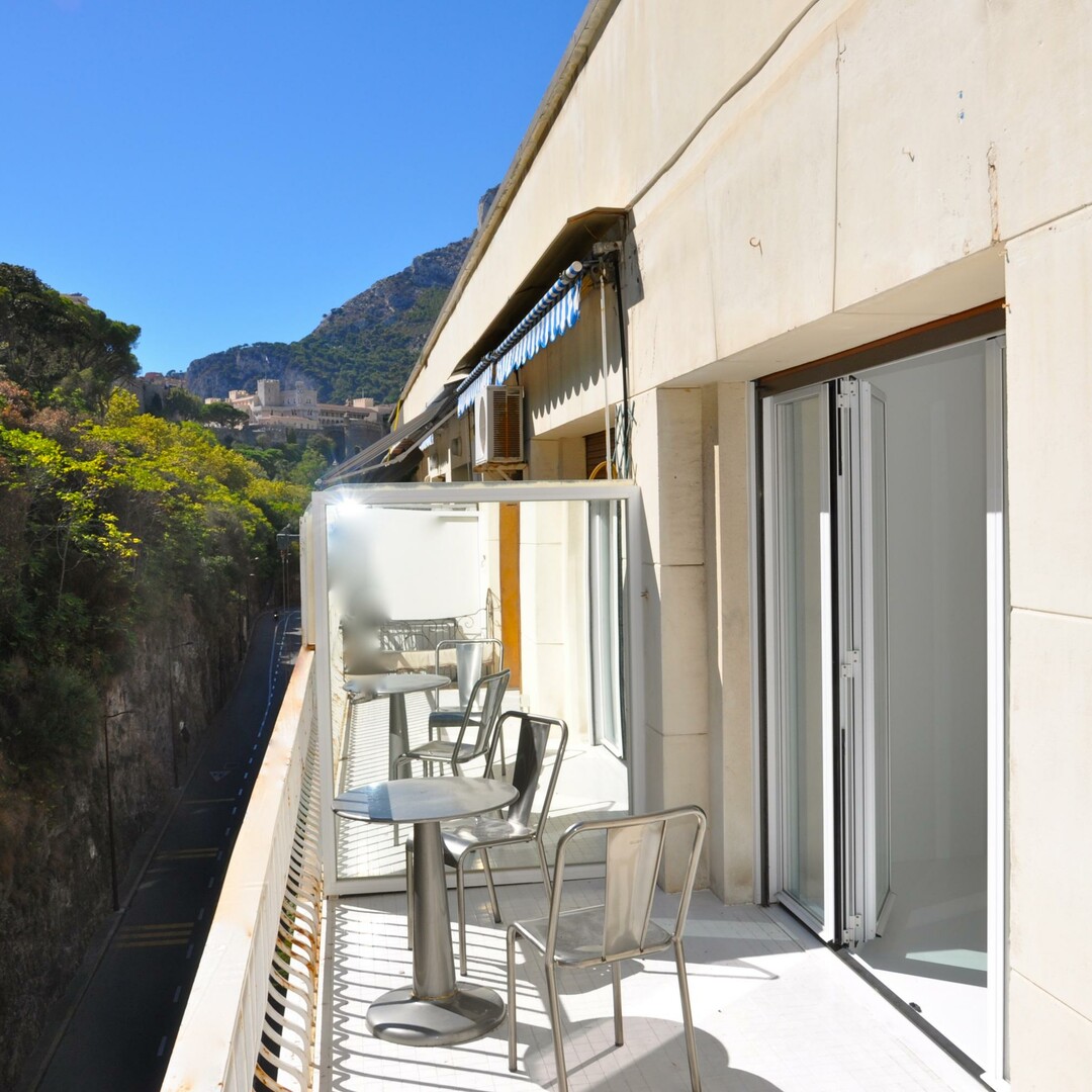 2 pièces sur le port de Monaco - Appartements à vendre à Monaco