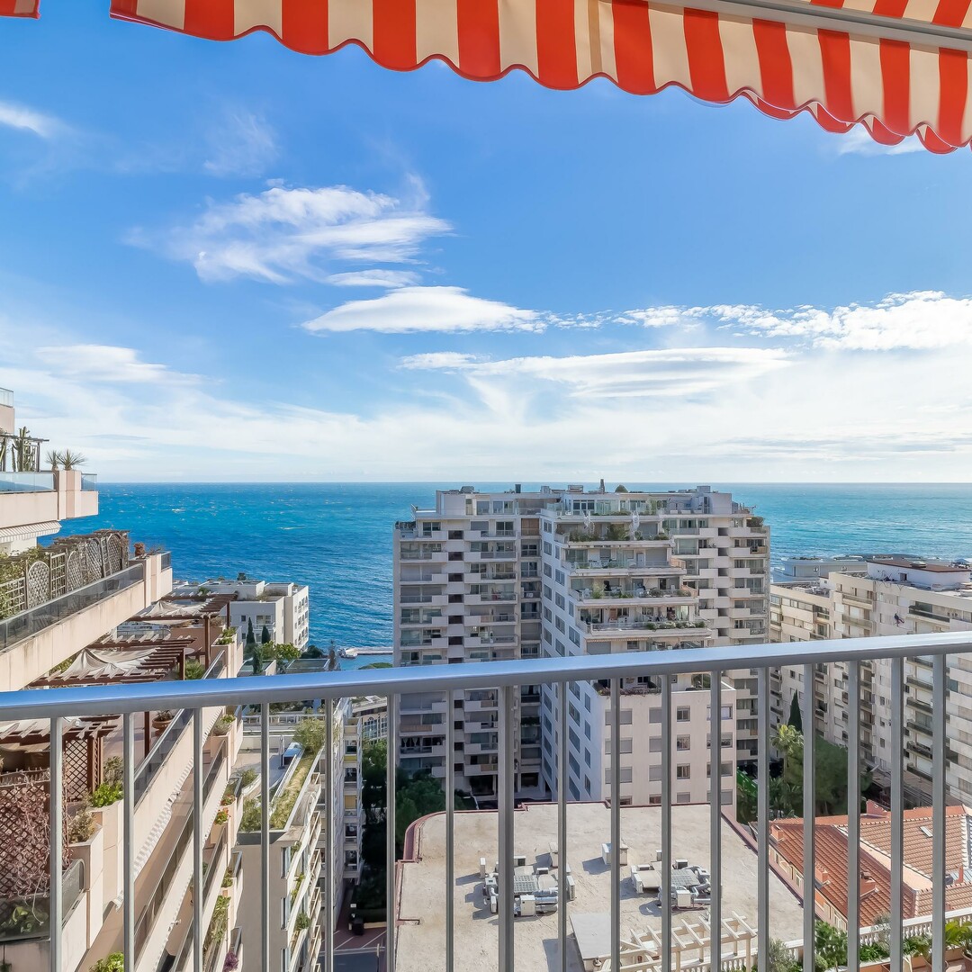 Beau 3 pièces entièrement rénové - Appartements à vendre à Monaco