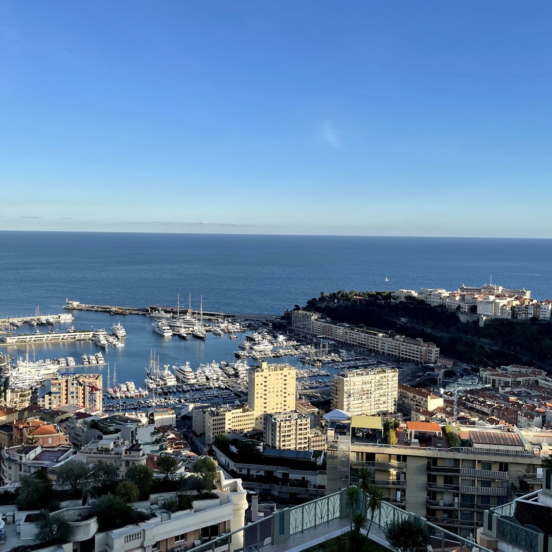 Toit terrasse - 3 pièces avec vue panoramique - Appartements à vendre à Monaco