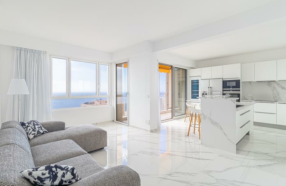 Magnifique appartement, vue mer, avec grand parking - Appartements à vendre à Monaco