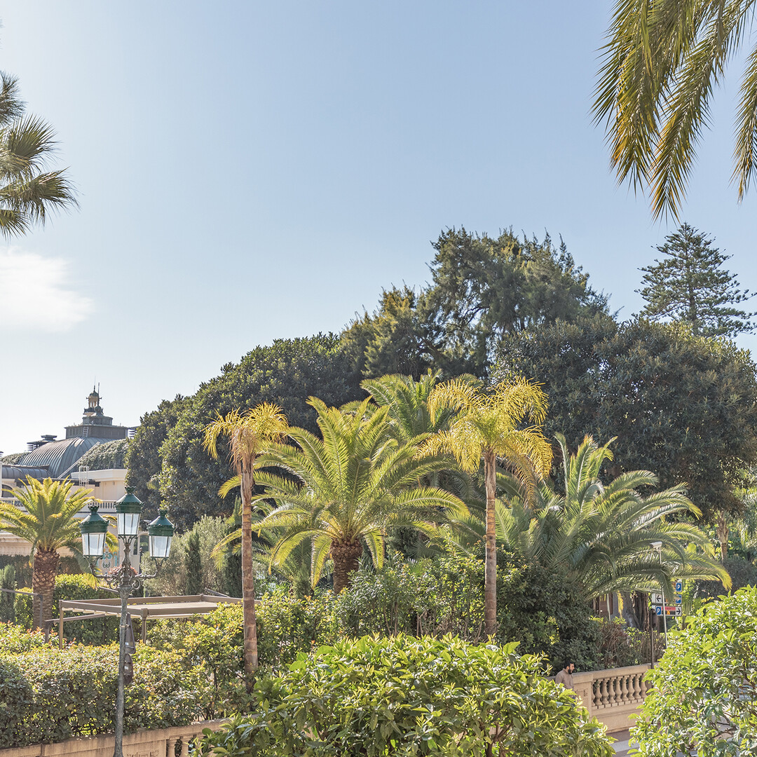 ‘’LES FLORALIES’’ Appartement de luxe renové en 3 pièces. - Appartements à vendre à Monaco
