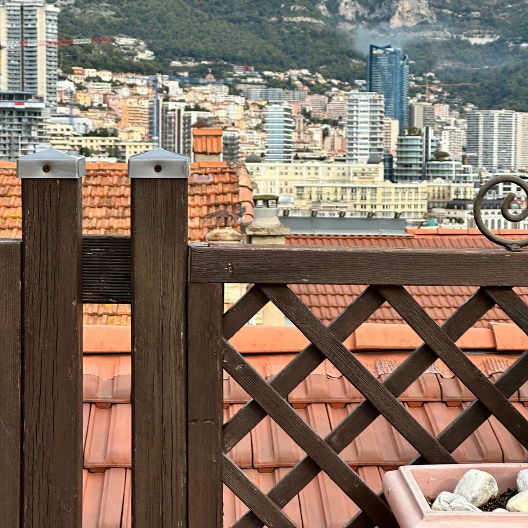 Magnifique Triplex avec toit terrasse - Appartements à vendre à Monaco