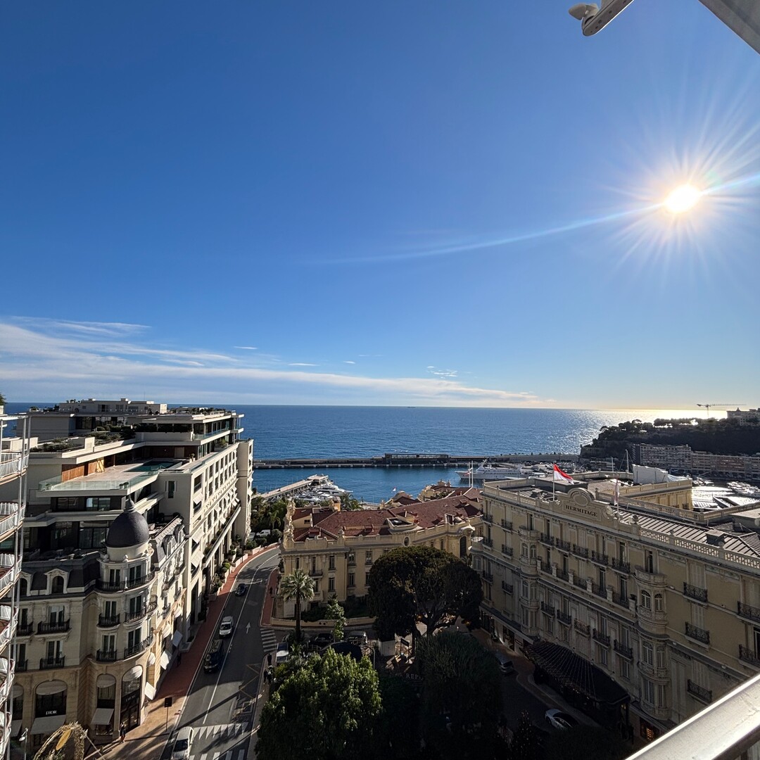 Appartement d'exception - Appartements à vendre à Monaco