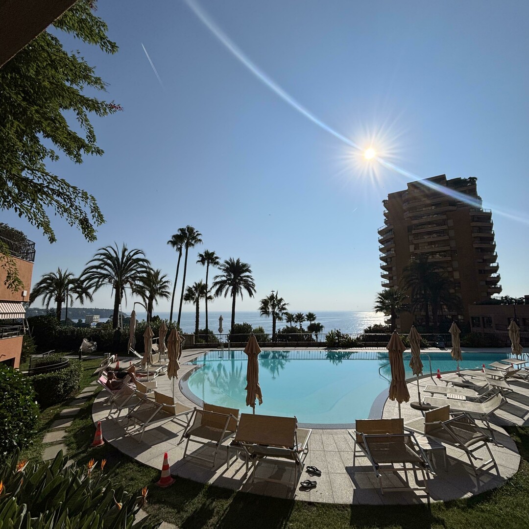 TRES GRAND STUDIO EN LOFT AU PARC SAINT ROMAN. - Appartements à vendre à Monaco