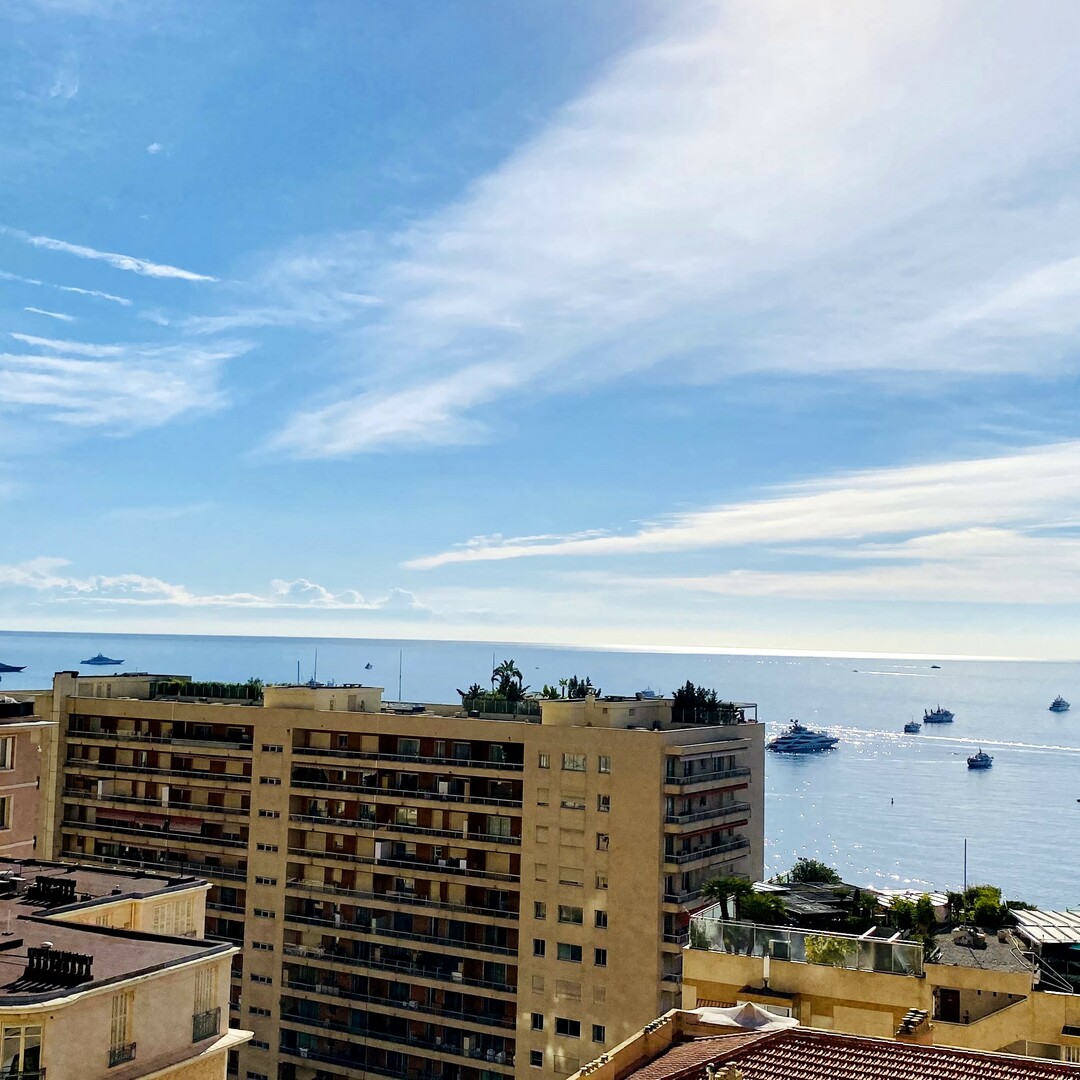 MONACO LA ROUSSE ABEILLES 3 PIECES VUE PANORAMIQUE - Propriétés à vendre à Monaco