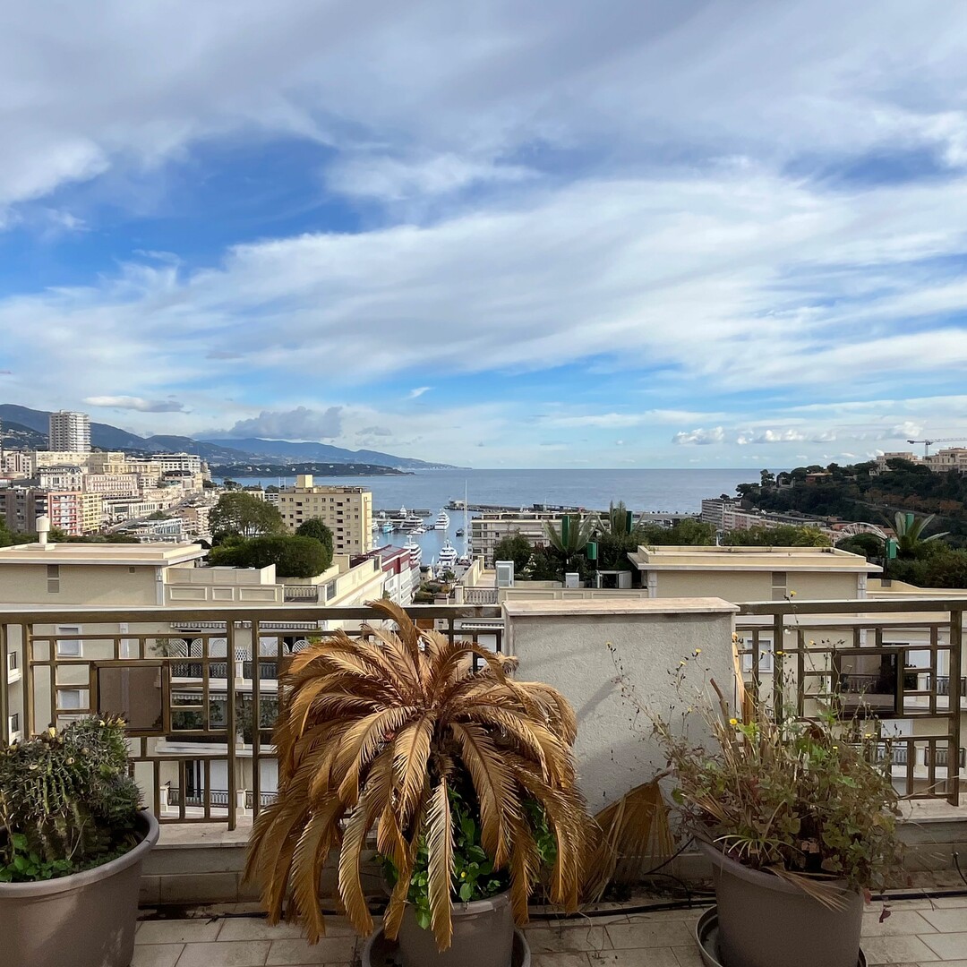 LUMINEUX DUPLEX  / PENTHOUSE  À LA CONDAMINE - Appartements à vendre à Monaco