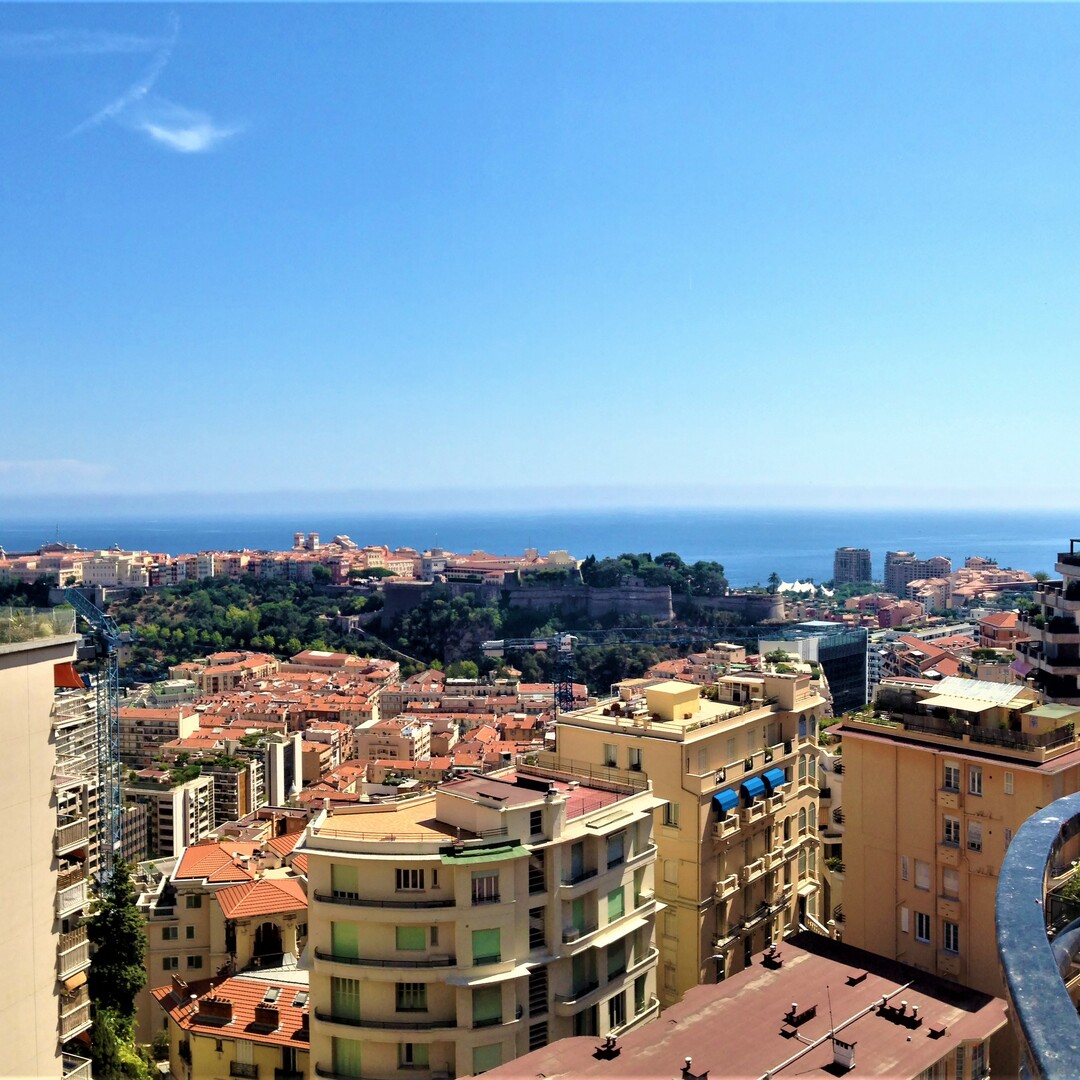 4 PIECES PENTHOUSE  AVEC TOITURE TERRASSE, VUE PANORAMIQUE - Appartements à vendre à Monaco