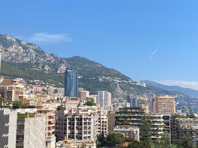 LUXUEUX 3 PIECES DANS LE CARRE D'OR - Appartements à vendre à Monaco