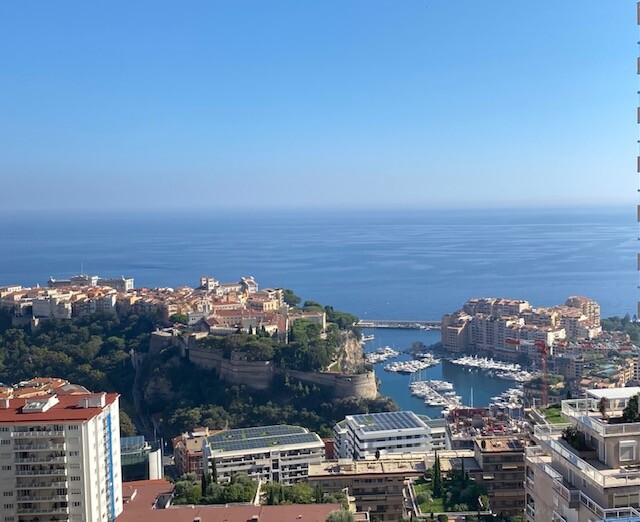 APPARTEMENT DE MAITRE 5 PIECES, VUE PANORAMIQUE PRINCIPAUTE ET MER - Appartements à vendre à Monaco