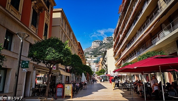 3P RUE PRINCESSE CAROLINE - Appartements à vendre à Monaco