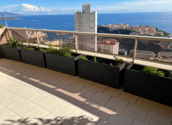 Grand appartement familial dans un immeuble de luxe - Appartements à vendre à Monaco