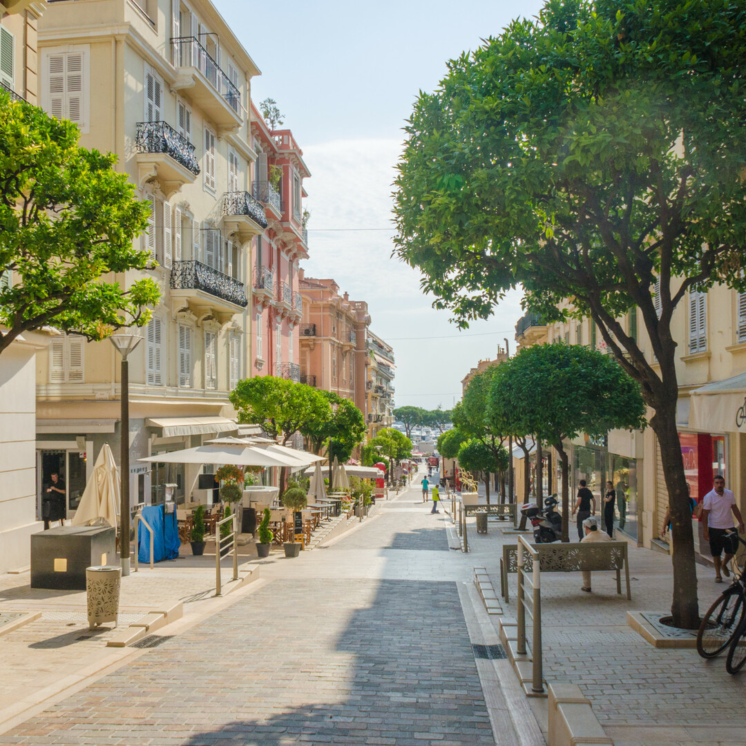 Bel appartement rue Princesse Caroline - Appartements à vendre à Monaco