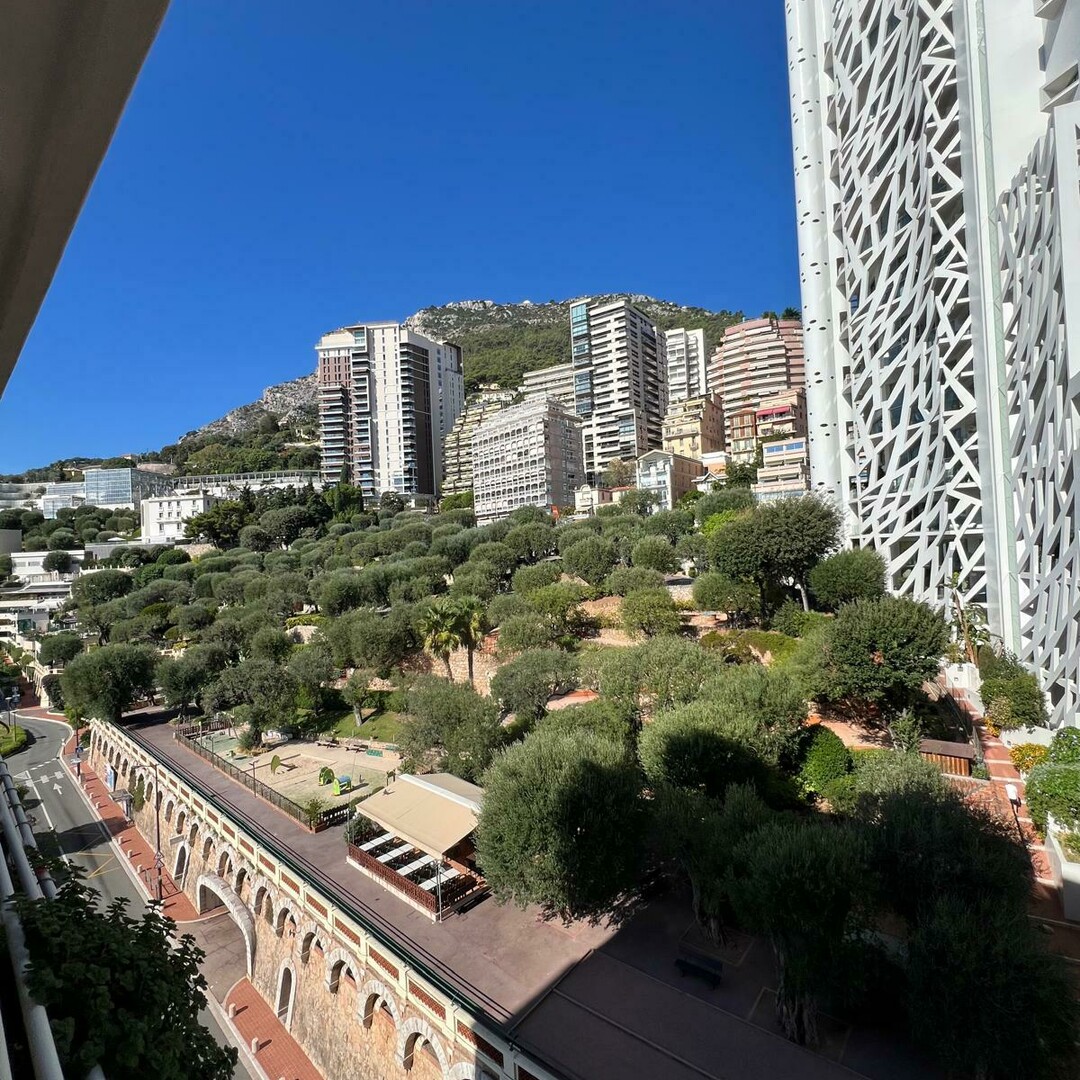 Appartement type studio avec alcove - Appartements à vendre à Monaco