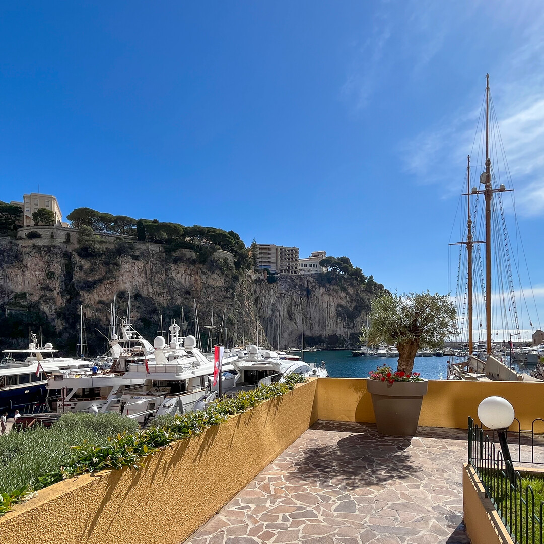 local commercial  avec vitrine idéal rendement locatif - Appartements à vendre à Monaco