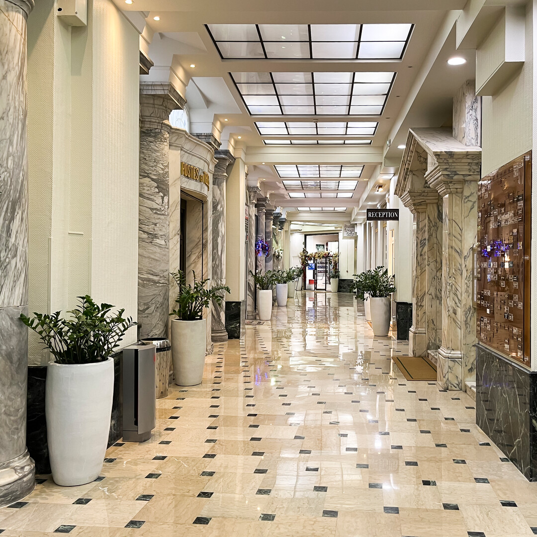 Fond de commerce Bijoux , Art , Tableaux, monnaies - Appartements à vendre à Monaco