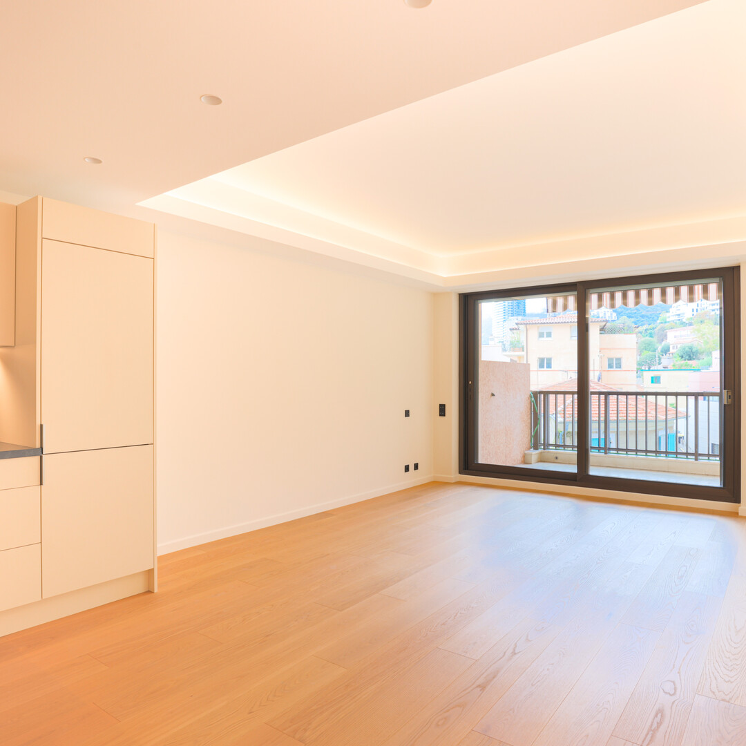 STUDIO RENOVE AVEC TERRASSE - Appartements à vendre à Monaco
